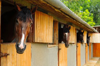 free Lambeg stable construction quotes